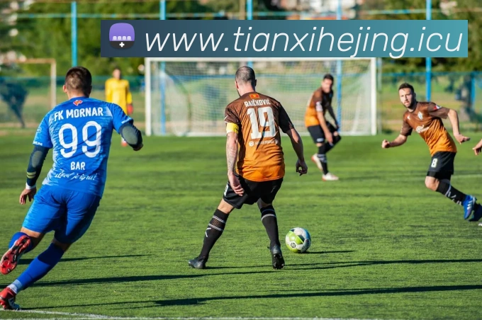 App Interface Preview